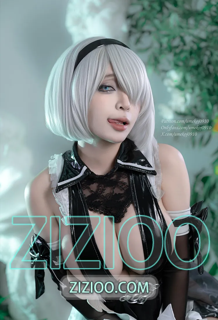 Umeko J - NO.163 Eve (2B Dress) [107P+11V-1.10GB]-IOE魔盒花园