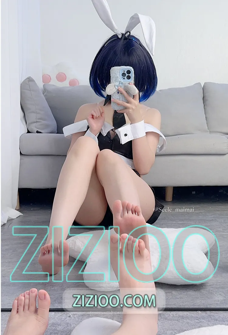 Seele麦麦 – NO.026 兔女郎希儿 (崩坏) [83P-146M]-IOE魔盒花园